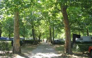 PARCELLA – LAKE SHORE